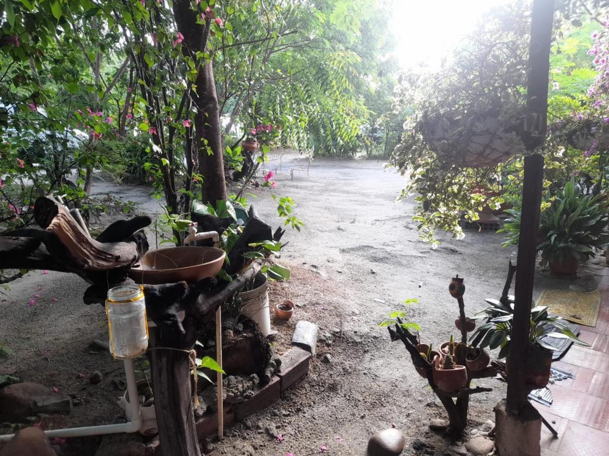 Alojamiento Casa De Campo Los Cactus Villavieja Zewnętrze zdjęcie