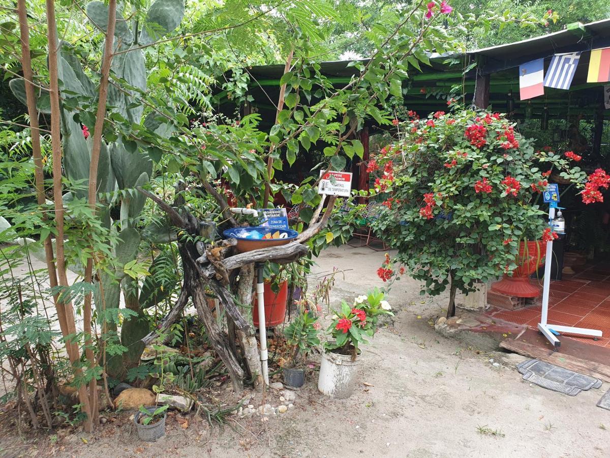 Alojamiento Casa De Campo Los Cactus Villavieja Zewnętrze zdjęcie