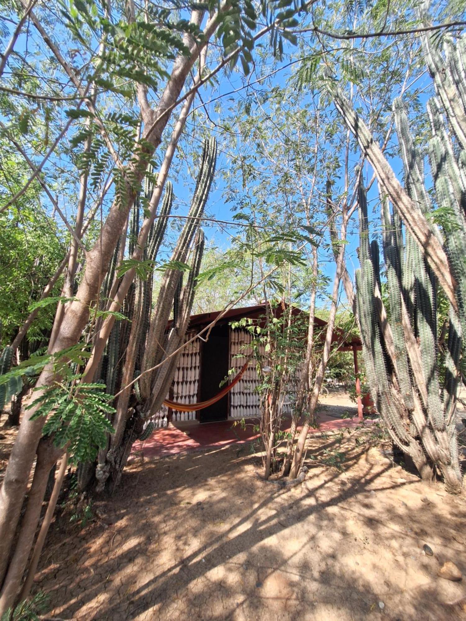 Alojamiento Casa De Campo Los Cactus Villavieja Zewnętrze zdjęcie