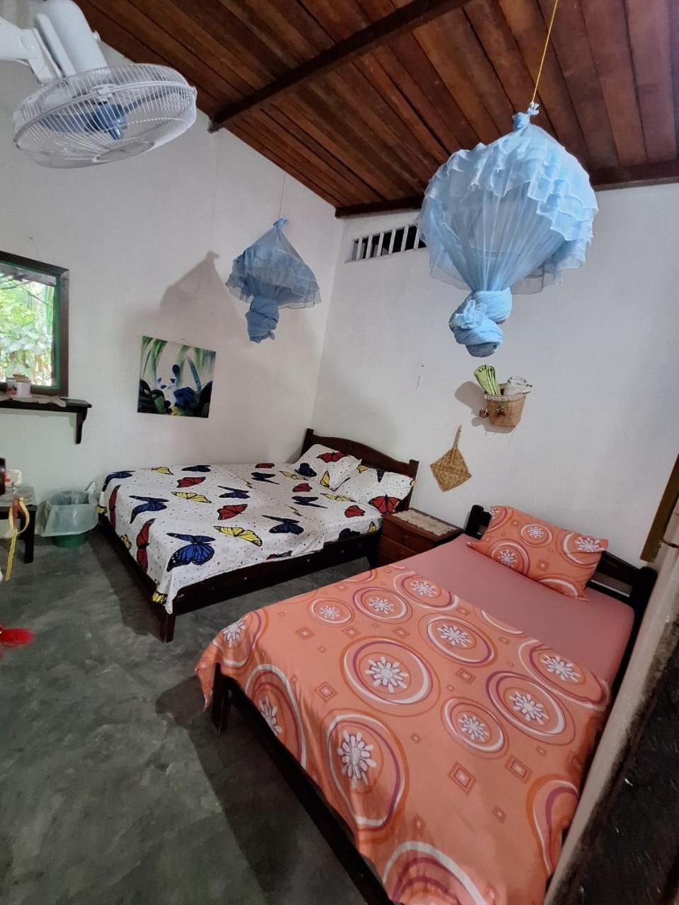 Alojamiento Casa De Campo Los Cactus Villavieja Zewnętrze zdjęcie