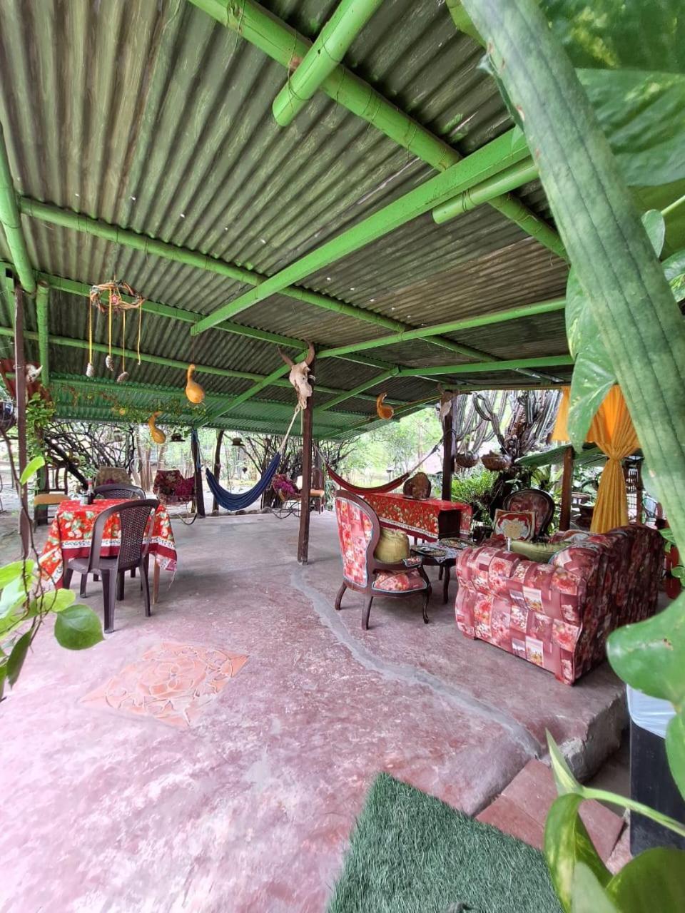 Alojamiento Casa De Campo Los Cactus Villavieja Zewnętrze zdjęcie