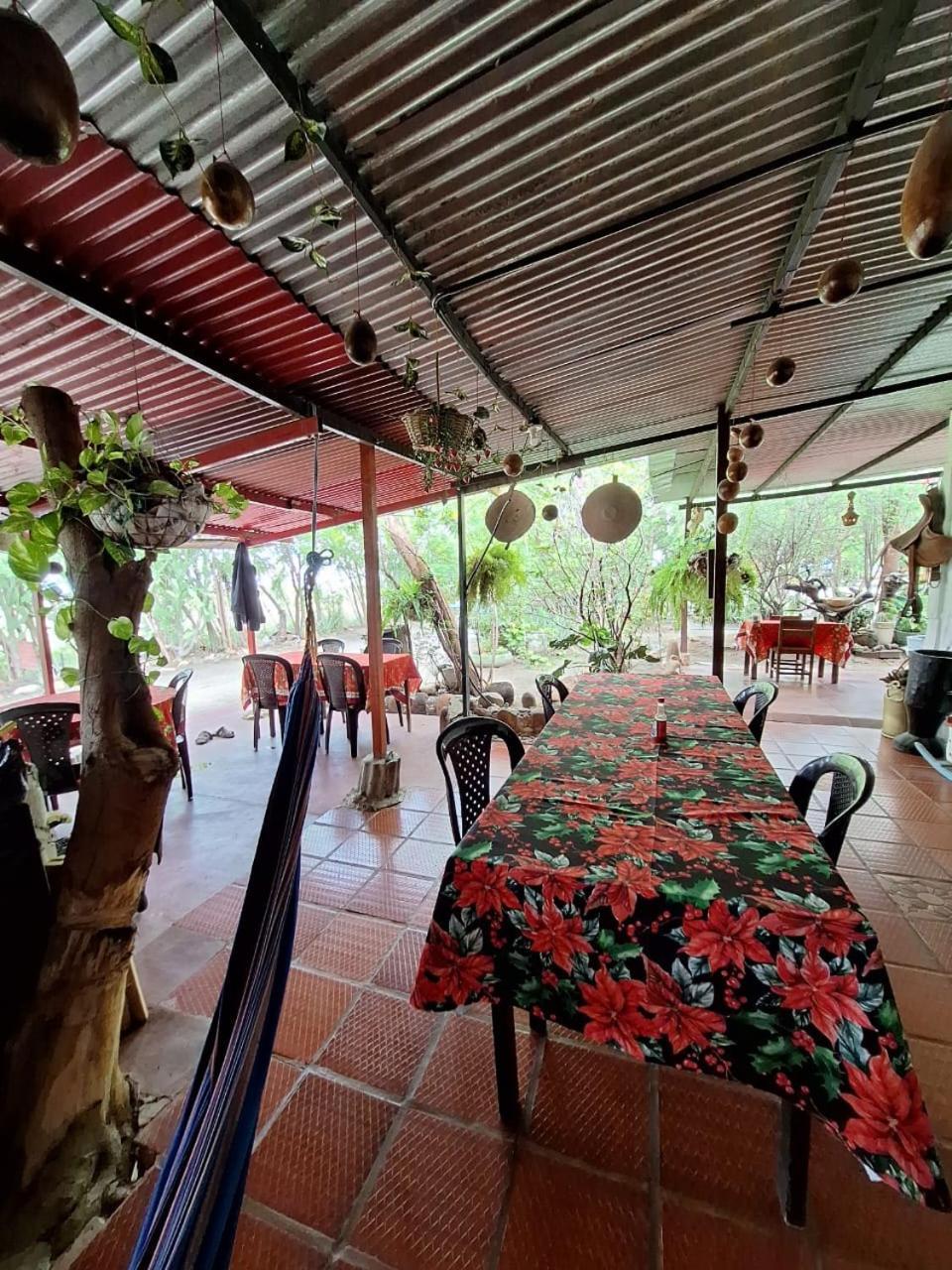 Alojamiento Casa De Campo Los Cactus Villavieja Zewnętrze zdjęcie