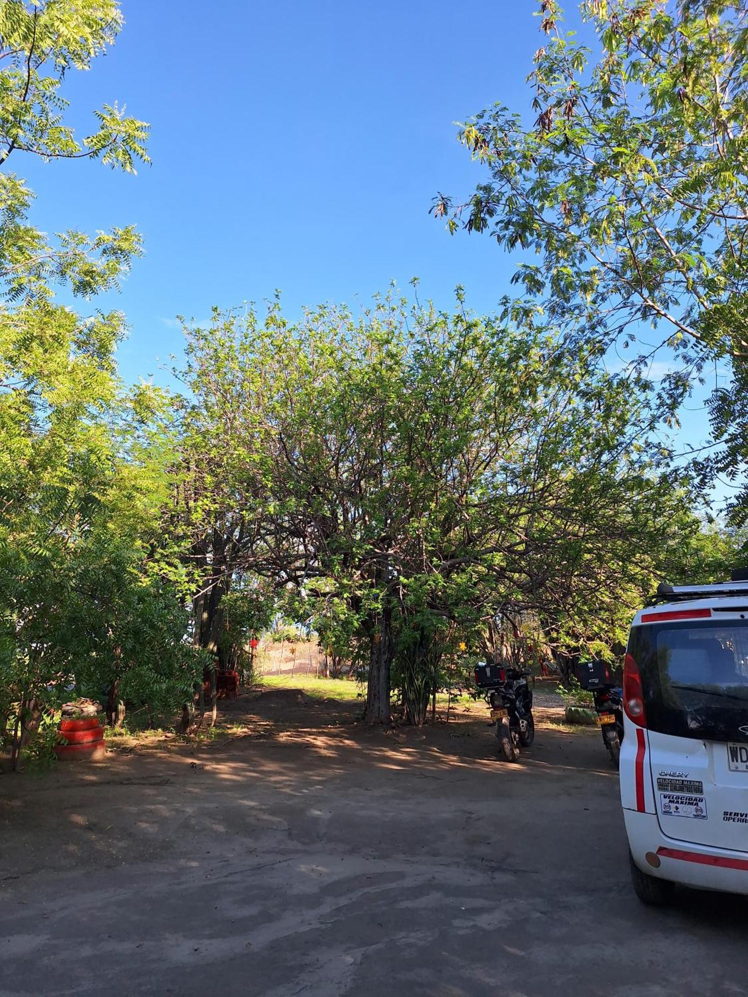 Alojamiento Casa De Campo Los Cactus Villavieja Zewnętrze zdjęcie