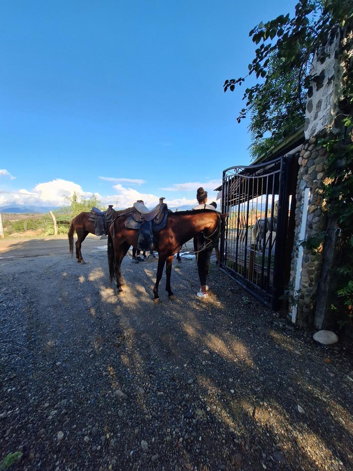 Alojamiento Casa De Campo Los Cactus Villavieja Zewnętrze zdjęcie