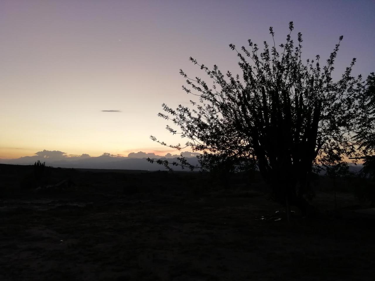 Alojamiento Casa De Campo Los Cactus Villavieja Zewnętrze zdjęcie