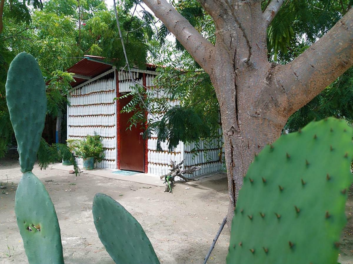 Alojamiento Casa De Campo Los Cactus Villavieja Zewnętrze zdjęcie
