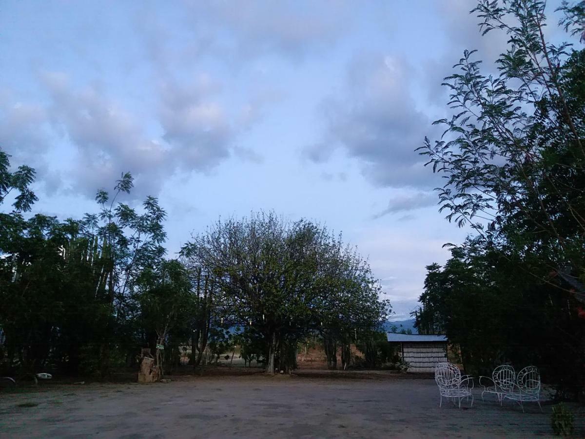 Alojamiento Casa De Campo Los Cactus Villavieja Zewnętrze zdjęcie